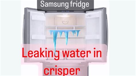 samsung fridge leaking water inside|Water leaks in a Samsung refrigerator